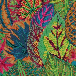 Free Spirit Fabrics - Kaffe Fassett Collective - Philip Jacobs - Coleus PJ30 Moss