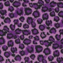 Free Spirit Fabrics - Dena Designs - Haute Girls DF203 Black 