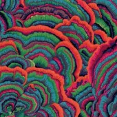 Rowan Fabrics - Philip Jacobs - Tree Fungi PJ82 Teal