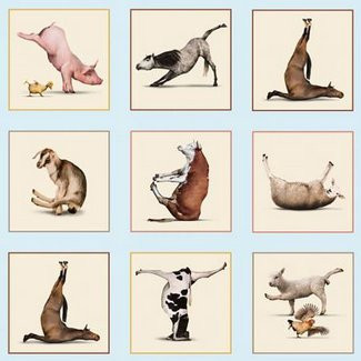 Elizabeth's Studio - Yoga is for Everyone Panel 8301 Blue