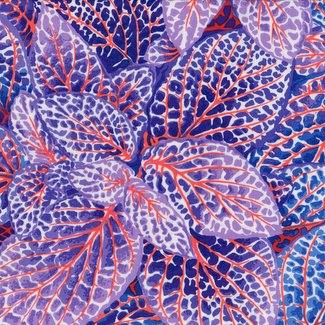 Free Spirit Fabrics - Kaffe Fassett Collective - Philip Jacobs PJ129 Fittonia Blue