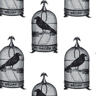 Michael Miller - Jackdaws - White DC5523